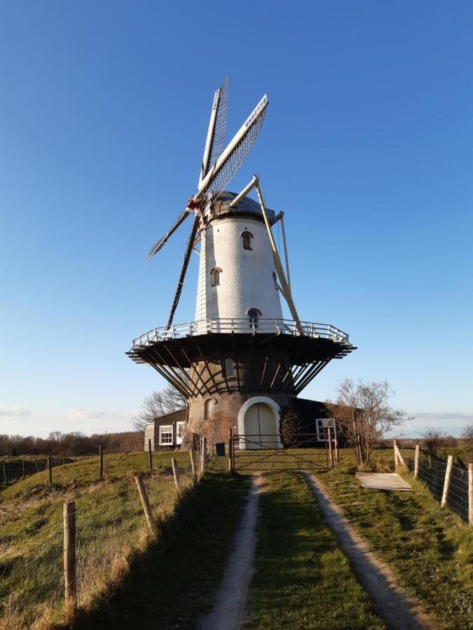 Studio Bourbon Veere Exteriér fotografie
